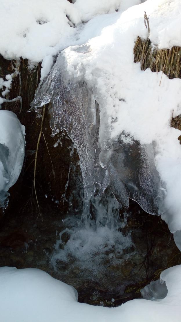 L'eau dans tous ses états