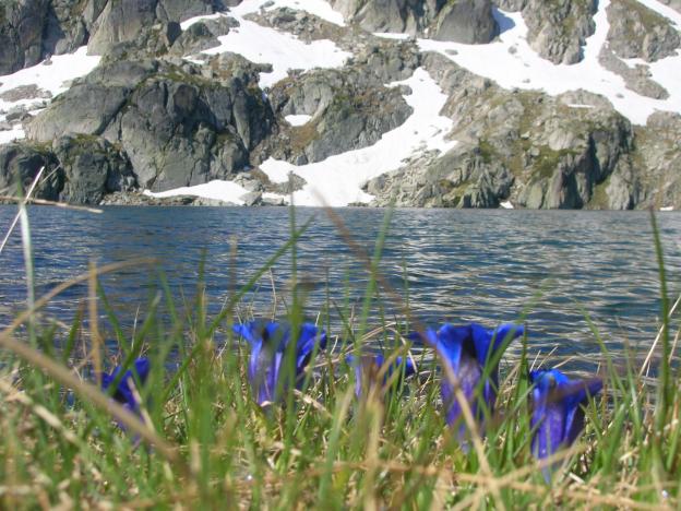 lac du Pourtet Cauterets Macadau Wallon pyrénées